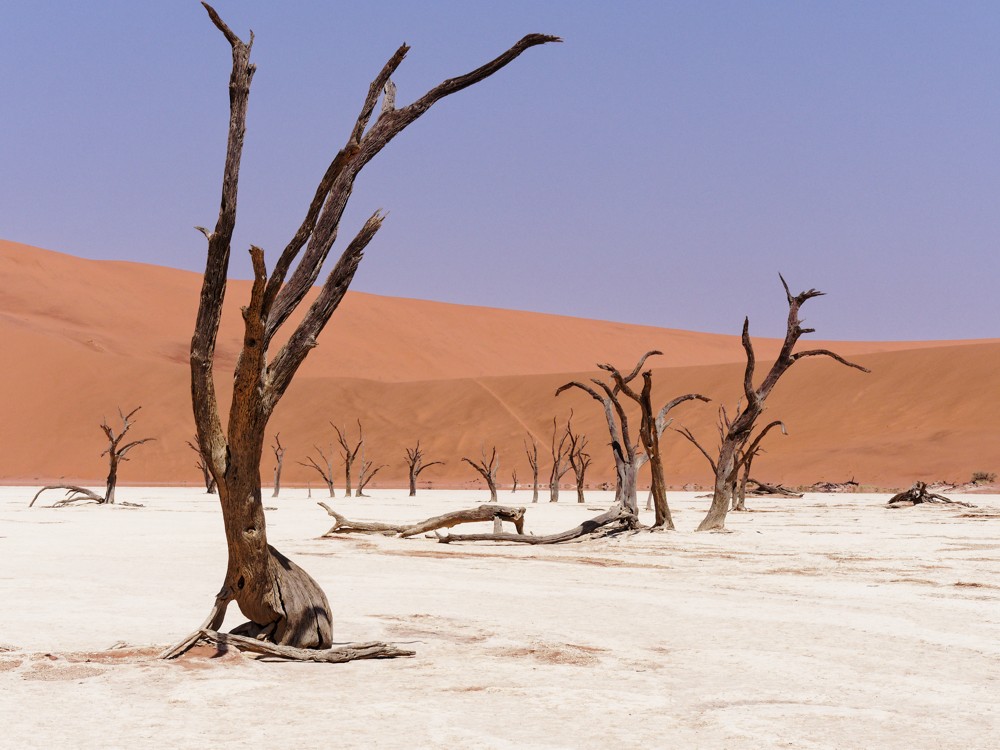 Sossusvlei Namibia