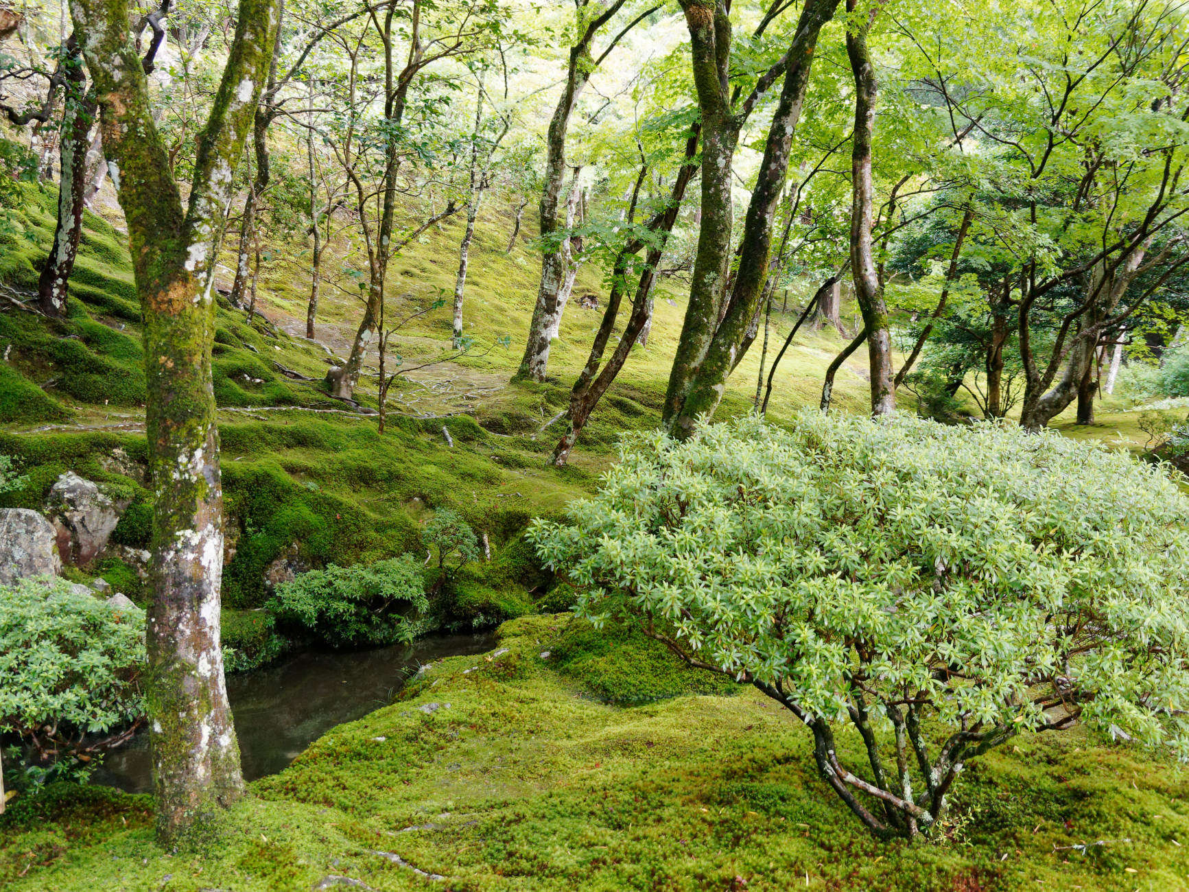 Garten des Ginkaku-ji-Tempels Japan